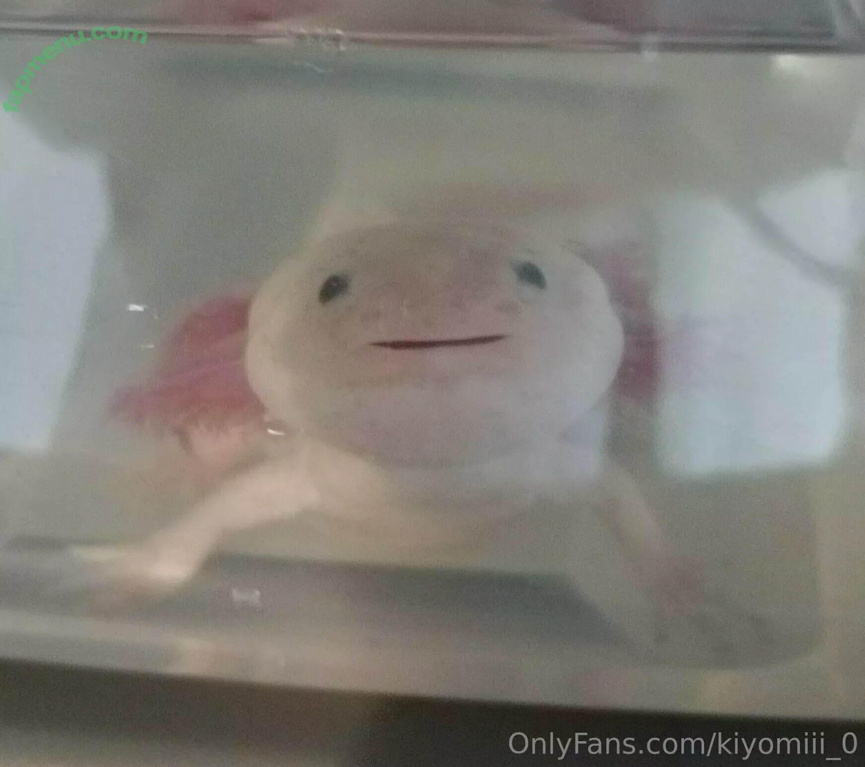 kiyomiii_0 nude photo #0195 (kiyomiii_0)