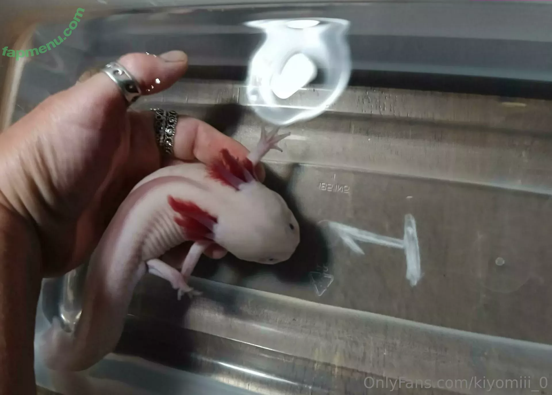 kiyomiii_0 nude photo #0196 (kiyomiii_0)