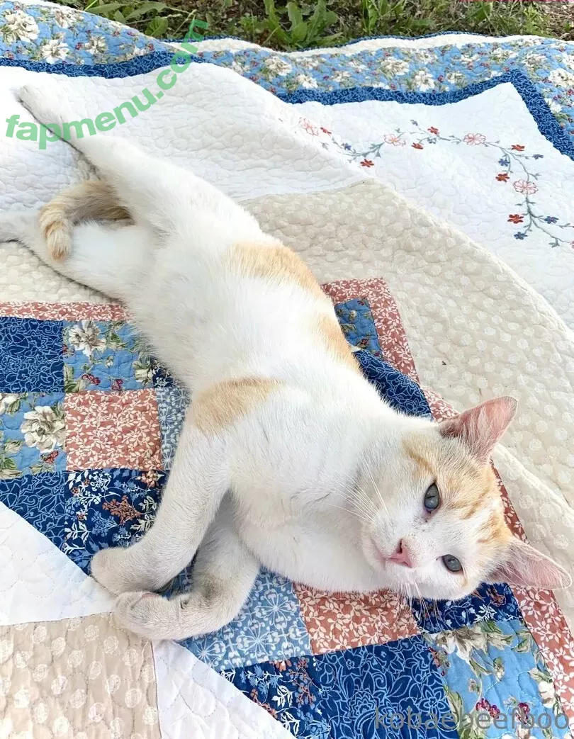 Kobaebeefboo nude photo #0793 (Kobaebeefboo)