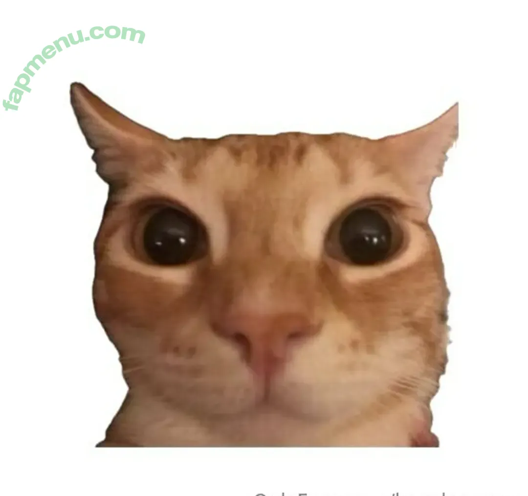 Konekazuwu nude photo #0038 (konekazuru)