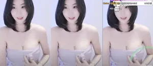 Korean BJ / Broadcast Jockeys / KBJ nude photo #0112