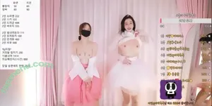 Korean BJ / Broadcast Jockeys / KBJ nude photo #0126