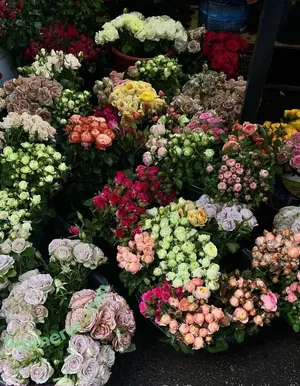 kristiina_fi / stunning blonde teen nude photo #0001