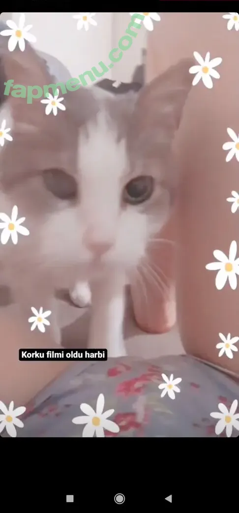 Kybeleniz nude photo #0037 (Turkish Streamer)