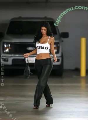 Kylie Jenner / kyliejenner / kyliejenner.2 nude photo #3457
