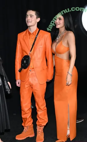 Kylie Jenner / kyliejenner / kyliejenner.2 nude photo #3570