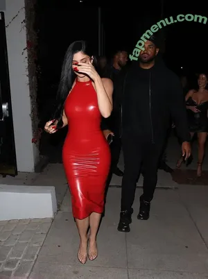 Kylie Jenner / kyliejenner / kyliejenner.2 nude photo #3684