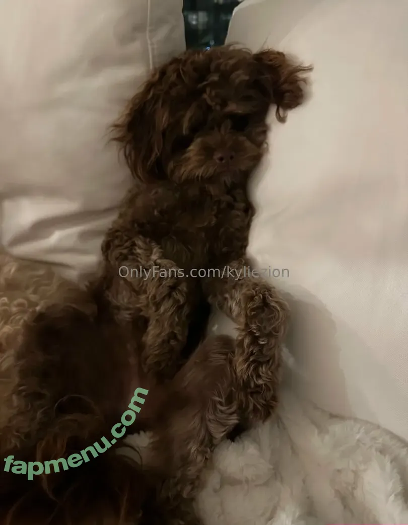 kyliezion nude photo #0014 (kyliezion)