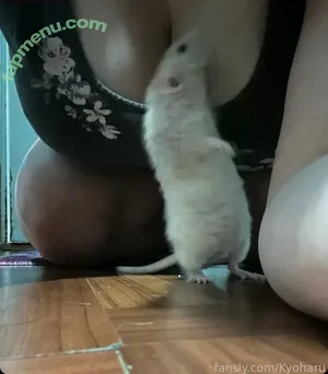 KyoharuVt / Kyoharu / haruuvt / harvalpha1 nude photo #0018