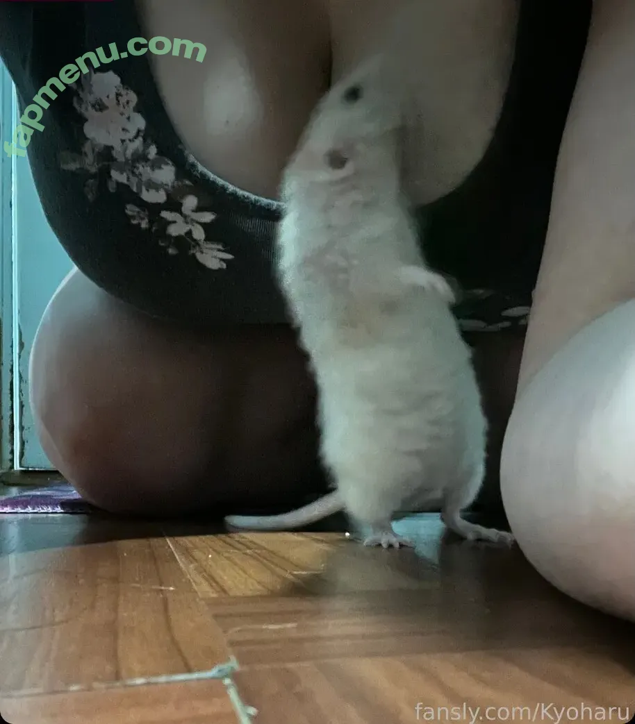 KyoharuVt nude photo #0018 (Kyoharu / haruuvt / harvalpha1)
