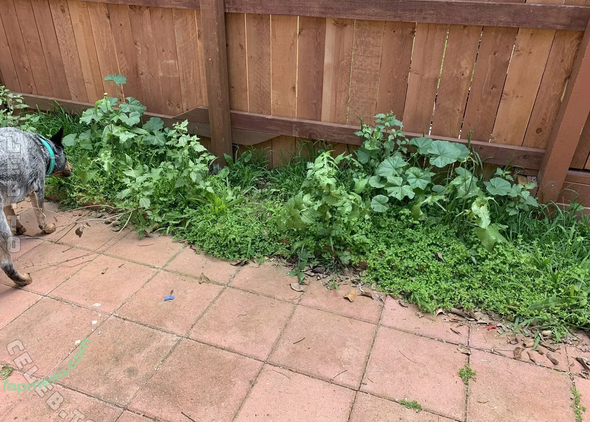 Lacy Lennon nude photo #1148 (MissLacyLennon / itslacylennon)