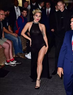 Lady Gaga / ladygaga nude photo #0855