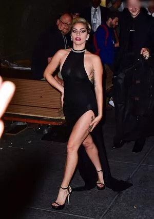 Lady Gaga / ladygaga nude photo #0859