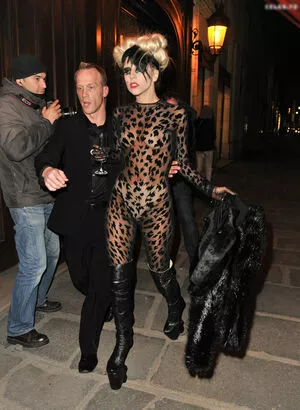 Lady Gaga / ladygaga nude photo #0882