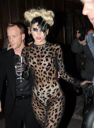 Lady Gaga / ladygaga nude photo #0884