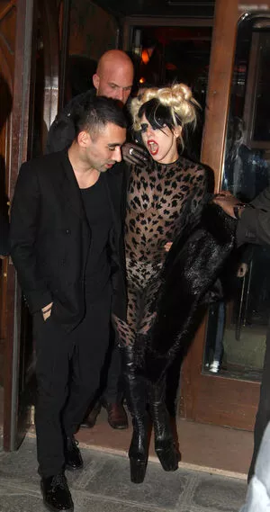 Lady Gaga / ladygaga nude photo #0887
