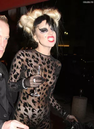 Lady Gaga / ladygaga nude photo #0889
