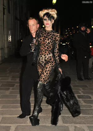 Lady Gaga / ladygaga nude photo #0890