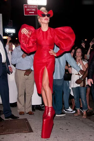 Lady Gaga / ladygaga nude photo #0895