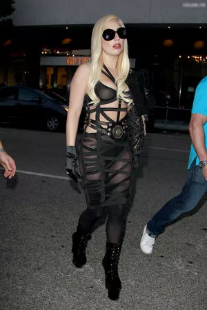 Lady Gaga / ladygaga nude photo #0970