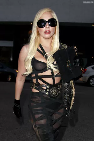 Lady Gaga / ladygaga nude photo #0974