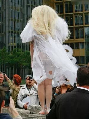 Lady Gaga / ladygaga nude photo #0991