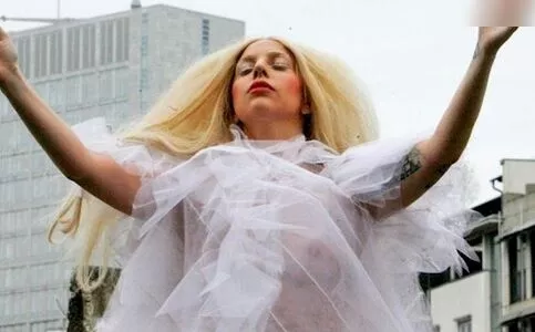 Lady Gaga / ladygaga nude photo #0996