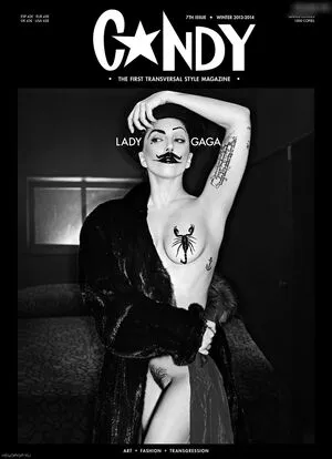Lady Gaga / ladygaga nude photo #0999