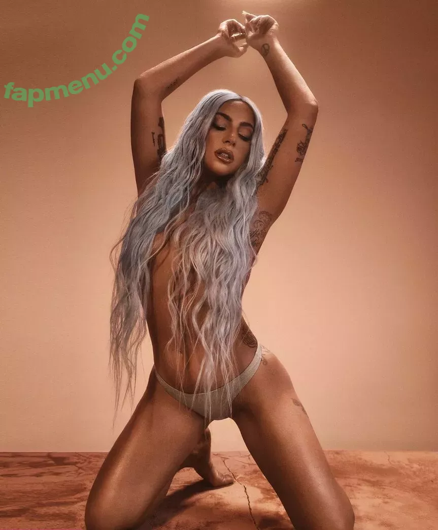 Lady Gaga nude photo #0878 (ladygaga)