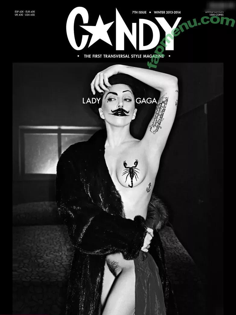 Lady Gaga nude photo #0999 (ladygaga)