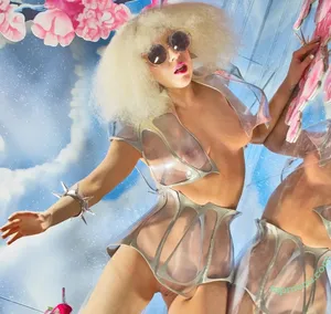 Lady Gaga / ladygaga nude photo #1481