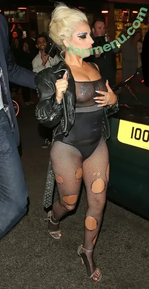 Lady Gaga / ladygaga nude photo #1580