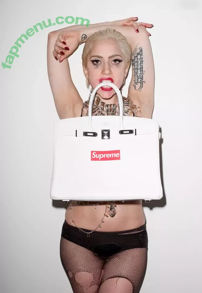 Lady Gaga nude photo #1246 (ladygaga)