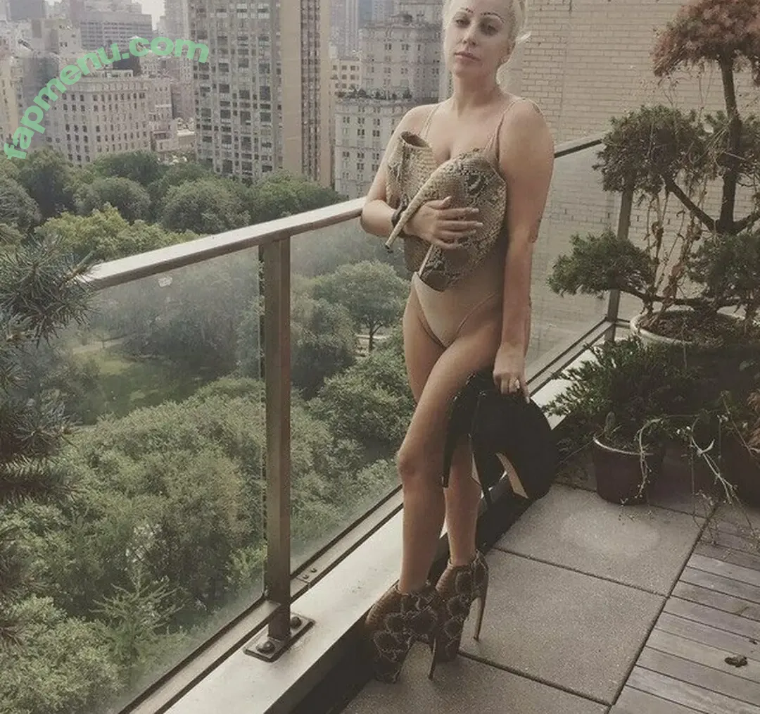 Lady Gaga nude photo #1332 (ladygaga)