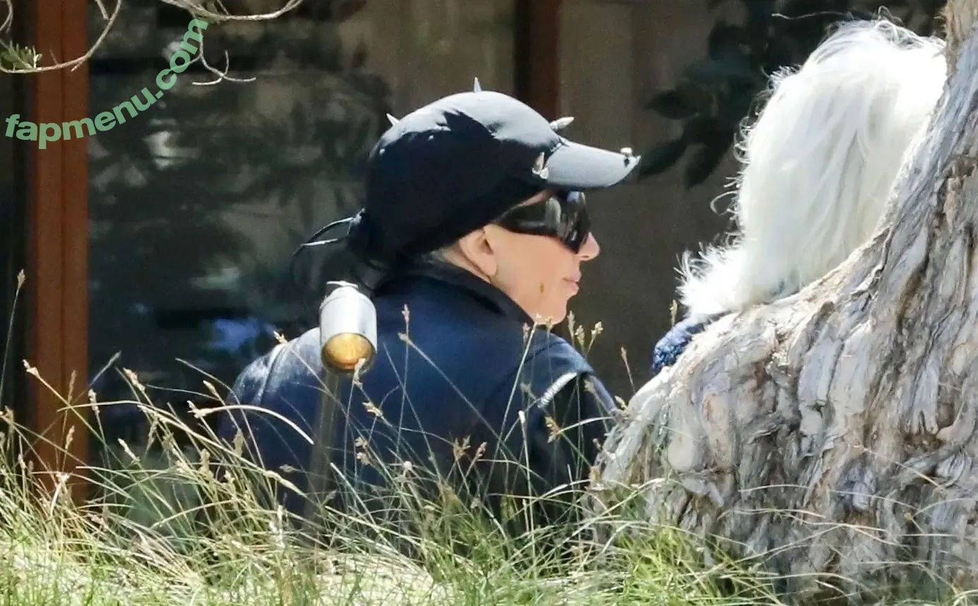 Lady Gaga nude photo #1391 (ladygaga)