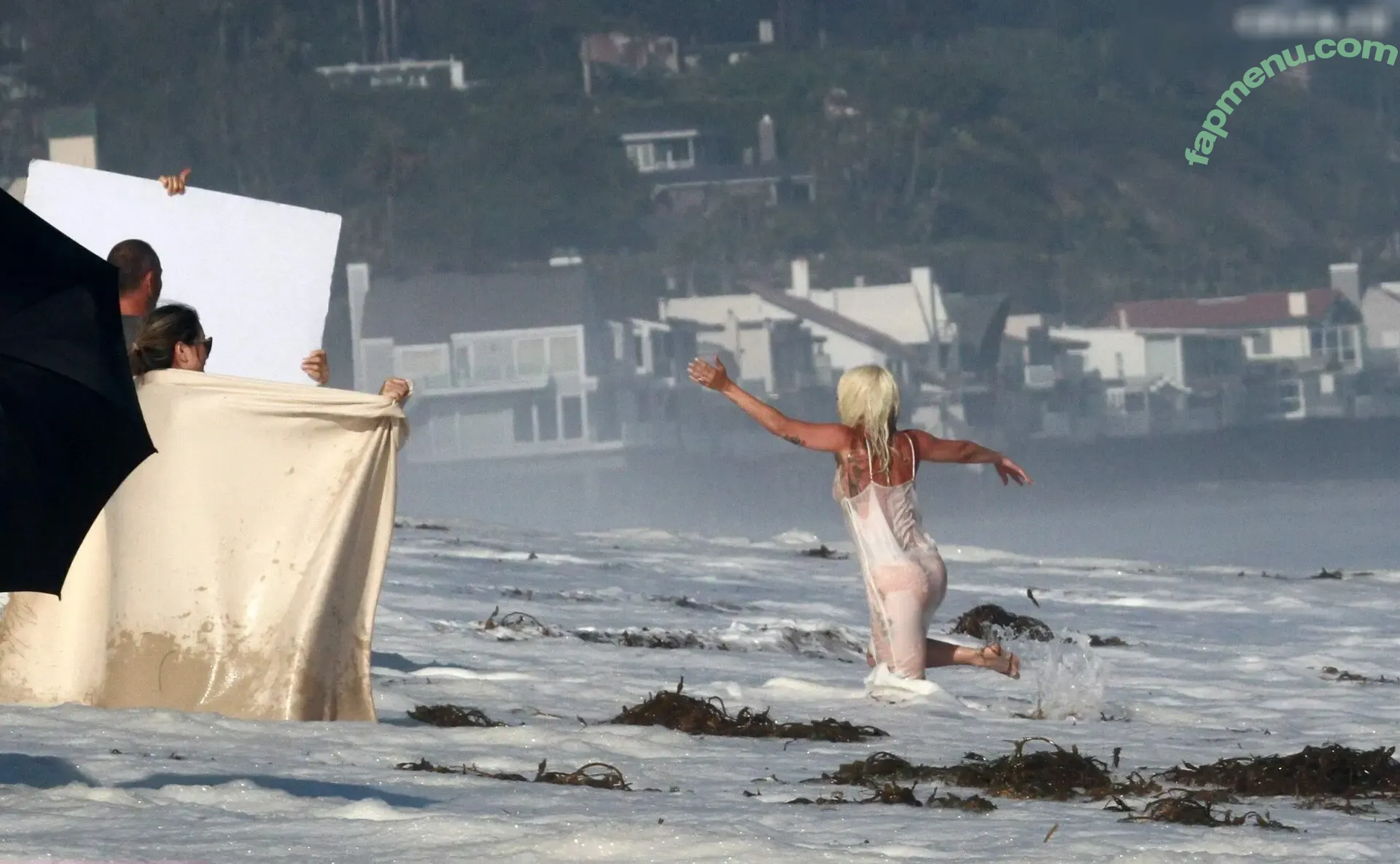 Lady Gaga nude photo #1421 (ladygaga)