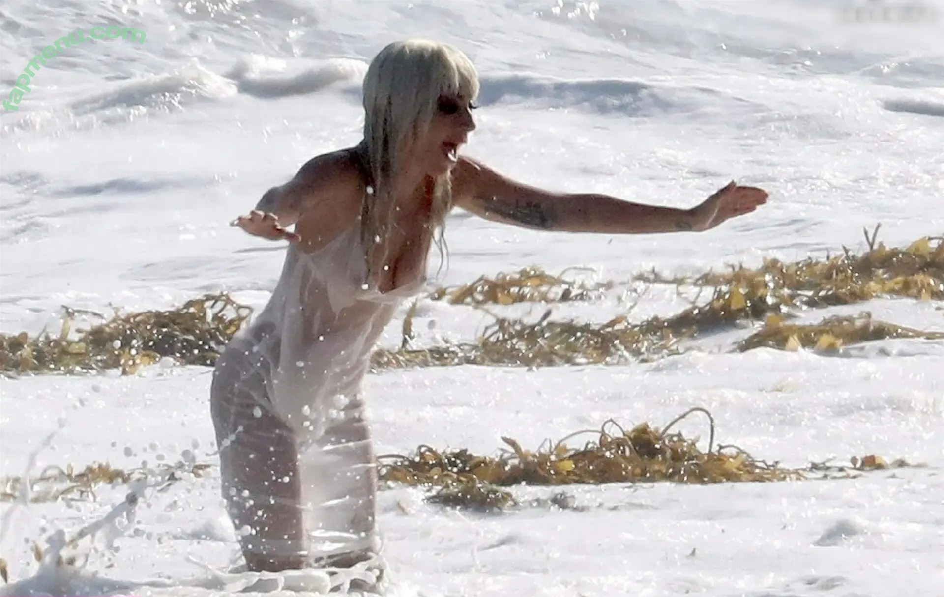 Lady Gaga nude photo #1436 (ladygaga)