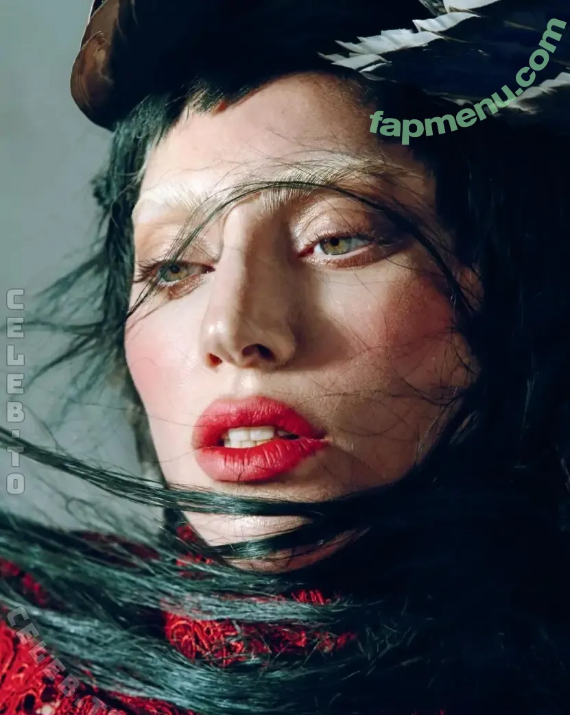 Lady Gaga nude photo #1764 (ladygaga)