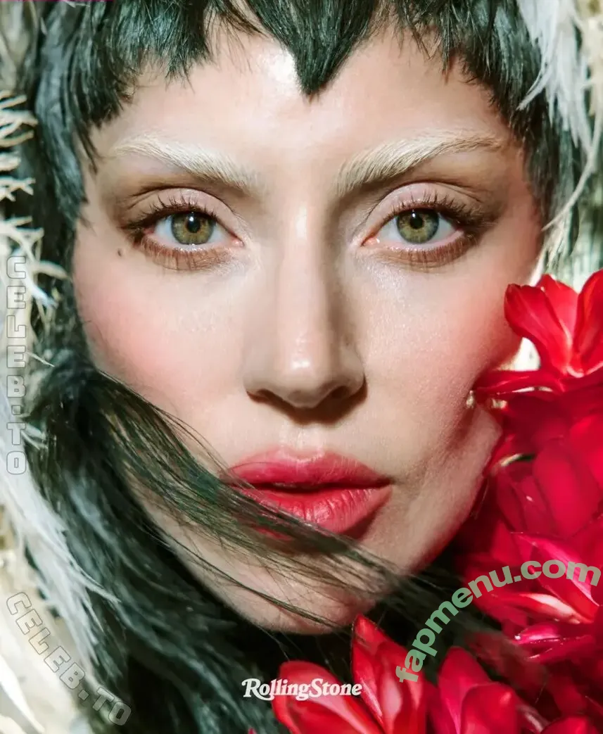 Lady Gaga nude photo #1766 (ladygaga)