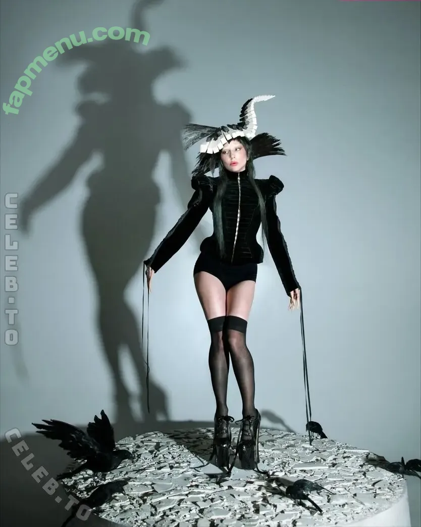 Lady Gaga nude photo #1770 (ladygaga)