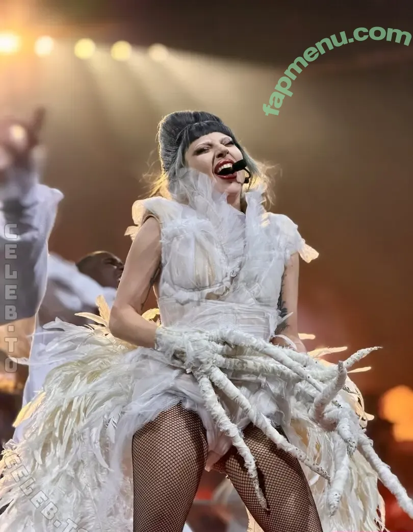 Lady Gaga nude photo #1843 (ladygaga)