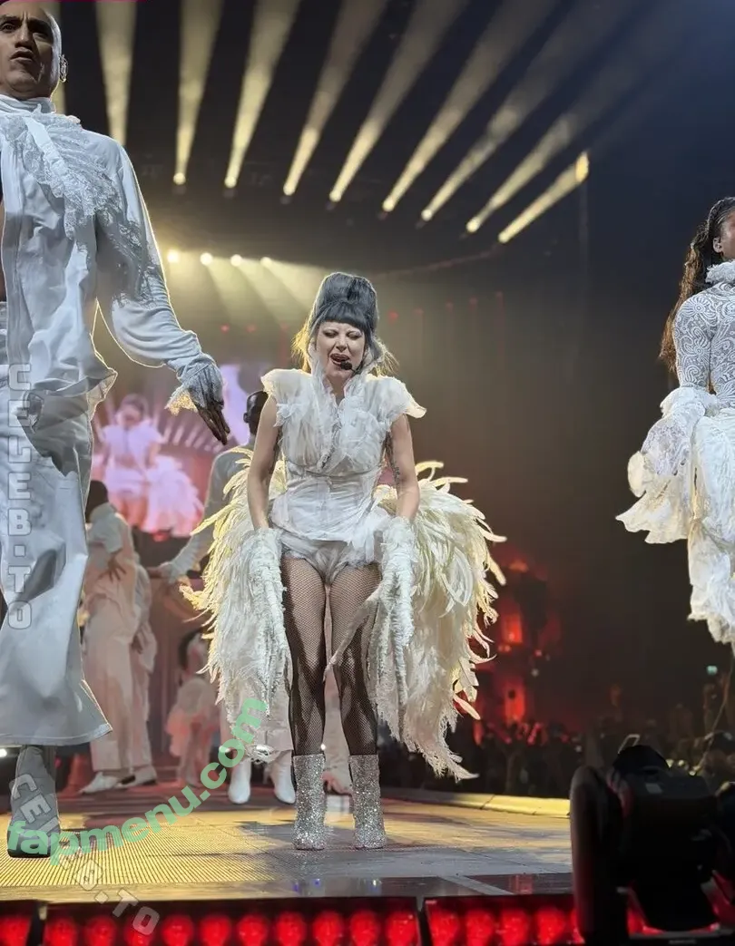 Lady Gaga nude photo #1847 (ladygaga)