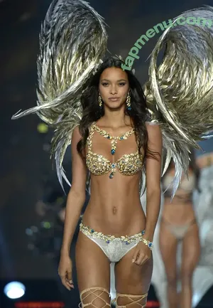 Lais Ribeiro / LaisRibeiro.Official / Lalaribeiro16 / girib / laisribeiro nude photo #1064