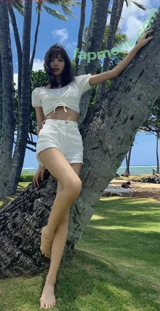 Lalisa Manoban nude photo #0008 (Lalisa Manoban)