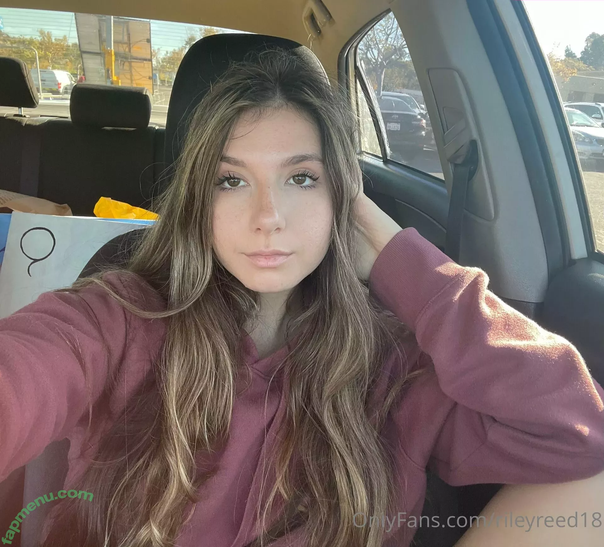 lanarhoads18 nude photo #0286 (911_emergency_hotel)