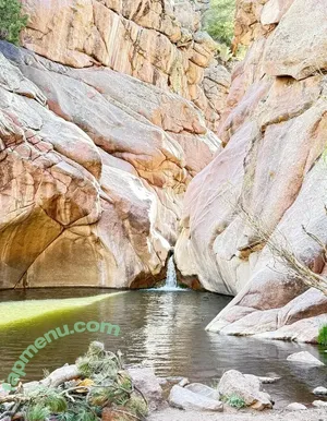 laneyfox / laneyelizabethh_ nude photo #0013