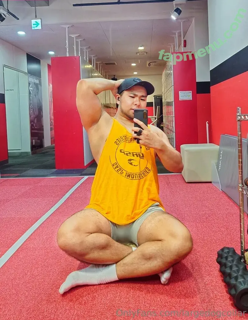 largedogcollar nude photo #0088 (largedogcollar)