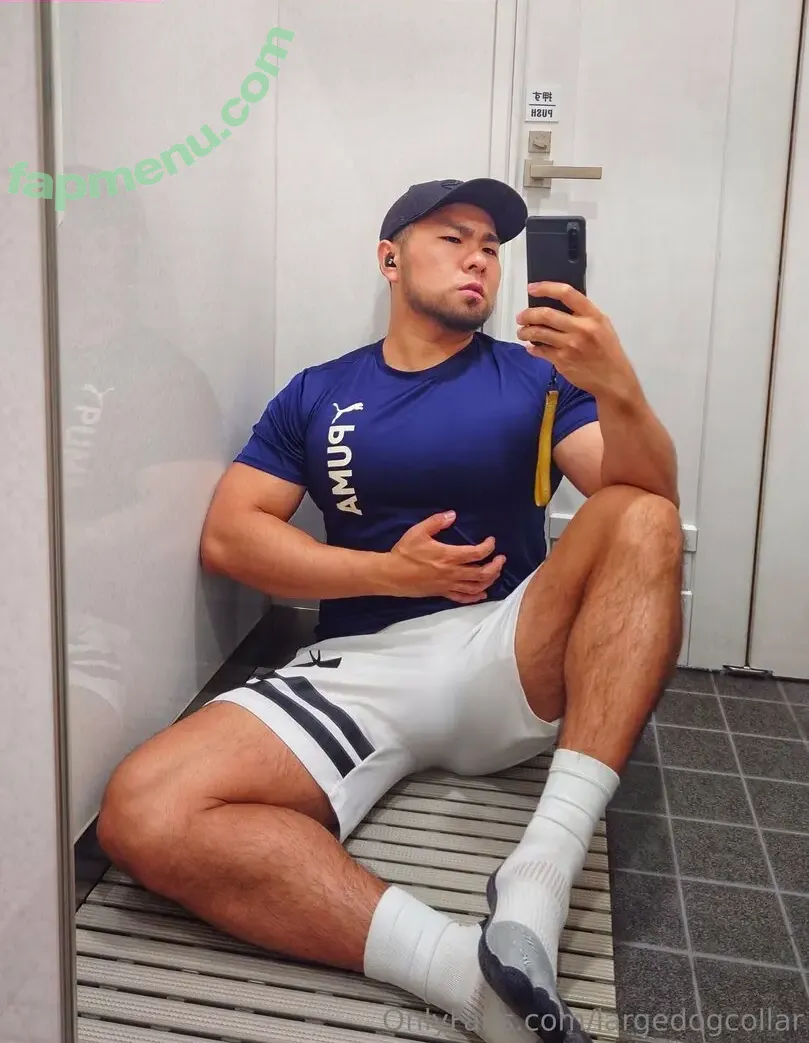 largedogcollar nude photo #0092 (largedogcollar)