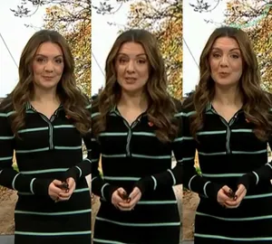 Laura Tobin / lauratobinweather nude photo #0660