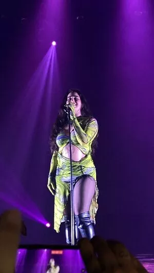 Lauren Jauregui / laurenjauregui nude photo #0290